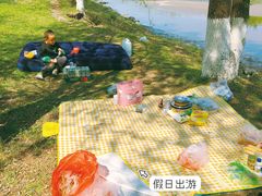 -蒲河岛湿地公园