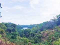 -阳台山森林公园
