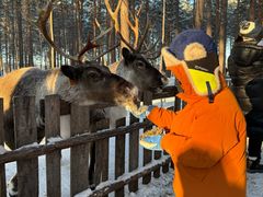 -北极村旅游风景区