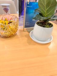 -美莱医疗美容医院