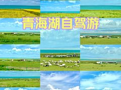 -青海湖国家重点风景名胜区
