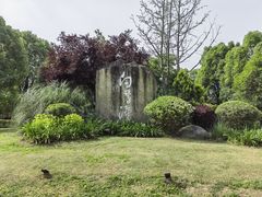 -白鹭湾湿地公园