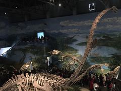 -自贡恐龙博物馆