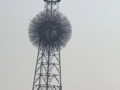 -大兴滨河森林公园