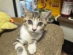 -海底捞火锅(创意园店)