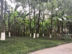 -重庆彩云湖湿地公园
