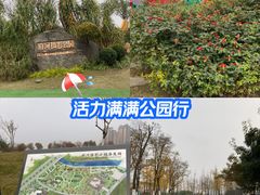 -府河摄影公园