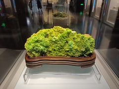 -安徽省地质博物馆