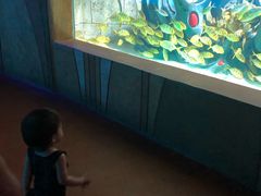 -亚龙湾海底世界