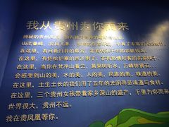 -贵凤凰贵州米粉(望京店)