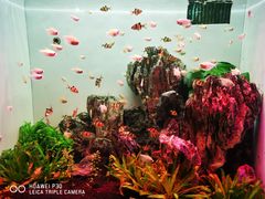 -多彩贵州城极地海洋世界