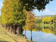 -中旅阿那亚九龙湖·公主酒店