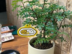 -CURRY YA 熟成咖哩專門店(深圳湾万象城店)