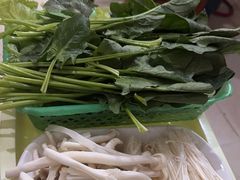 -15年老字号鑫鑫猪肚鸡·椰子鸡海南火锅(兴隆华侨农场店)