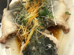 -燕语野生河鱼馆