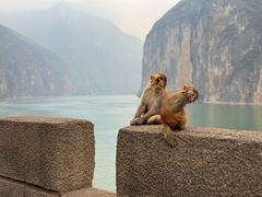 -白帝城·瞿塘峡景区