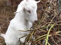 -杭州师范大学(下沙校区)