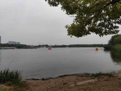 -大兴滨河森林公园