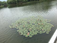 -江南大学(蠡湖校区)