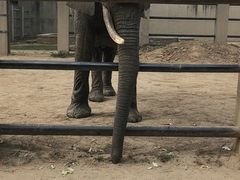 -保定市动物园