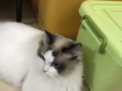 -宠颐生宠物医院外科·内科·皮肤科·影像科(石龙店)