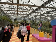 -南宫五洲植物乐园