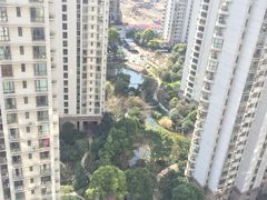 -新湖明珠城