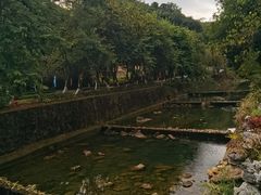 -广州白江湖森林公园