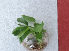 -创世纪情缘·婚恋(杭州家和店)