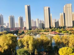 -沈阳于洪碧桂园凤凰酒店