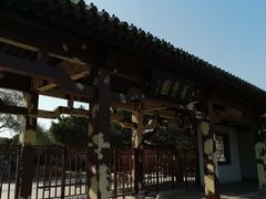 -北陵公园