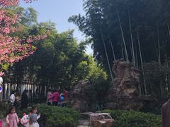 -荆川公园