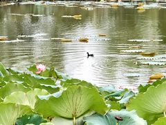 -池州市平天湖风景区