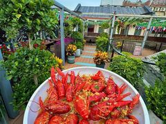 -京B·东篱精酿啤酒音乐餐厅