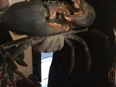 -Ministry of Crab(科伦坡店)