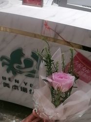 -奥本瑜伽·普拉提