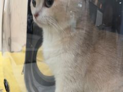 -瑞鹏宠物医院·内科·中兽医·骨科(苗圃店)