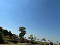 -滆湖低碳生态公园