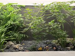 -本处·素食·融合料理(南油店)