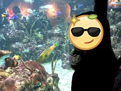 -西雅图水族馆
