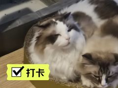 -白兔子密室(长寿路店)