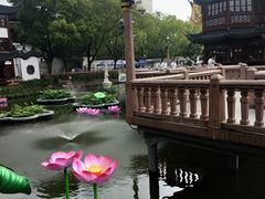 -豫园湖心亭茶楼