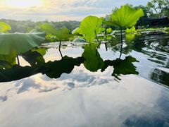 -承德避暑山庄景区