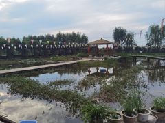 -同銮特种养殖场·龙虾垂钓