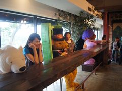 -济州岛泰迪熊博物馆