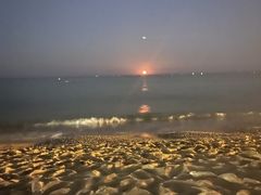 -小巴塞罗那海滩