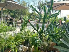 -ommo cafe(半岛城邦店)