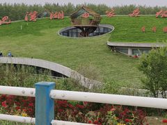 -合肥滨湖国家森林公园
