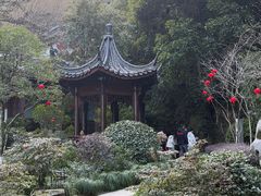 -十八棵（老龙井）御茶园(老龙井店)