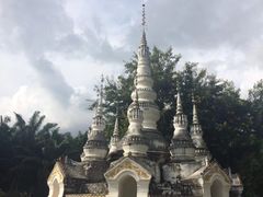 -纳兰傣雀傣味餐厅